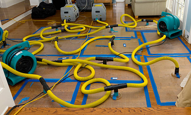 Professional Sewage Cleanup technician working in Kingwood, TX
